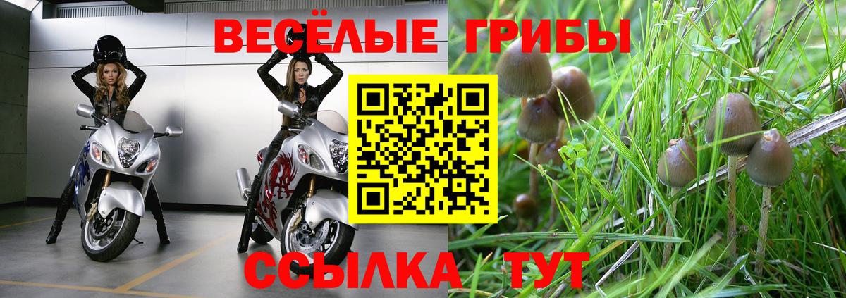 Псилоцибиновые грибы GOLDEN TEACHER  Вход с VPN  Североуральск 